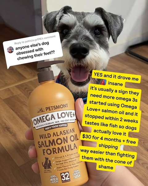 A salmon oil ad that uses a common pet owner complaint as the hook, followed by a direct solution and benefit-driven breakdown.